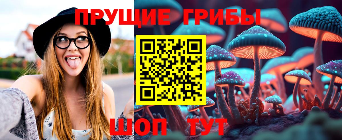 Галлюциногенные грибы Psilocybe Шелехов