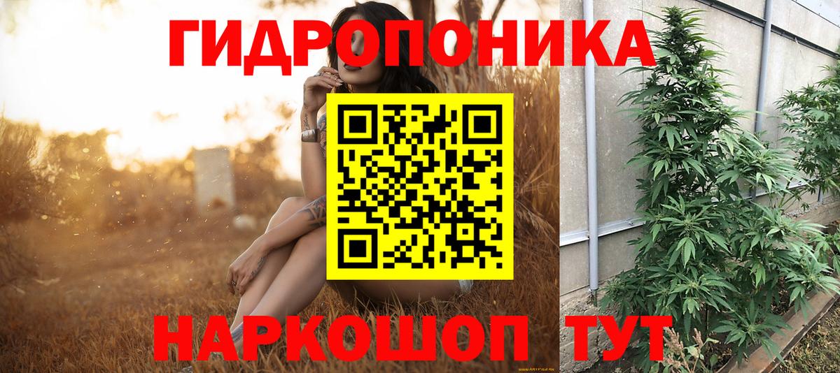 Шишки марихуана Bruce Banner Шелехов